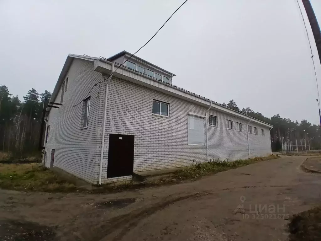 Помещение свободного назначения в Нижегородская область, Выкса Южный ... - Фото 2