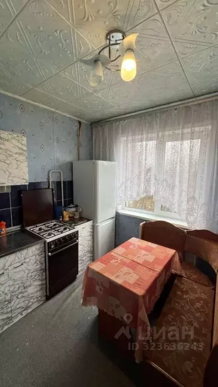 1-к кв. Тульская область, Тула городской округ, пос. Молодежный ул. ... - Фото 1