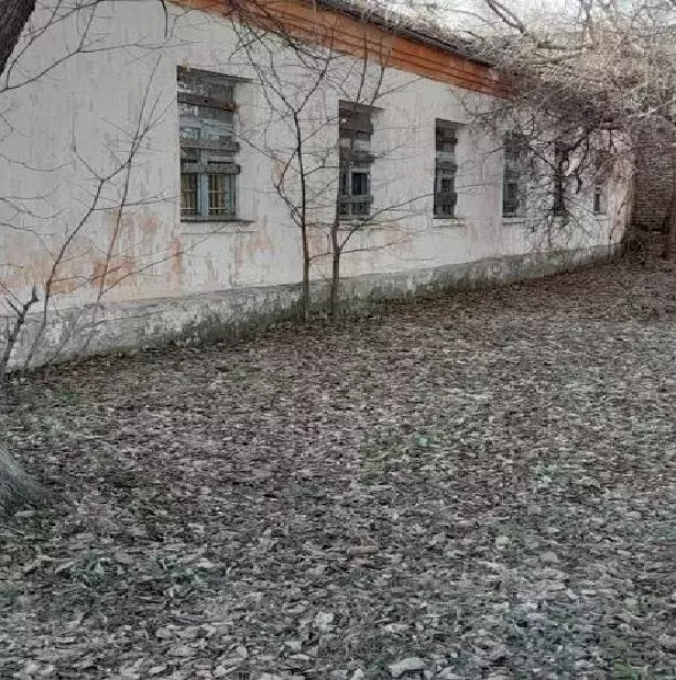 Помещение свободного назначения в Курганская область, Катайский ... - Фото 1