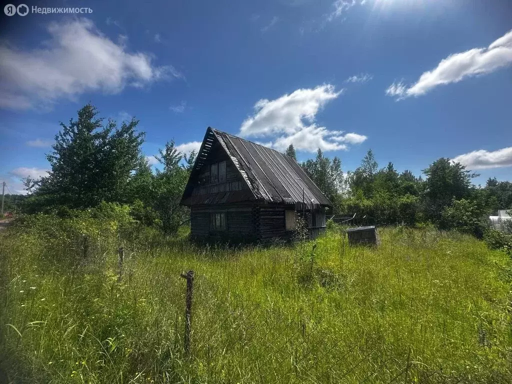 Участок в Новгородская область, Маловишерское городское поселение, ... - Фото 1