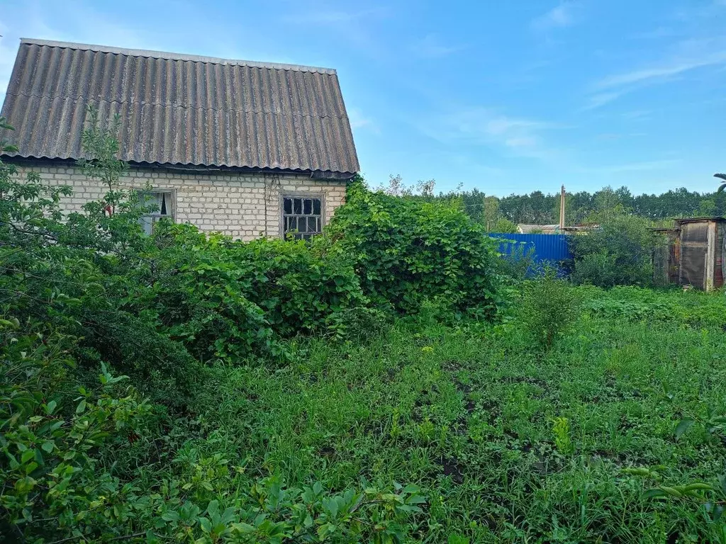 Дом в Тамбовская область, Тамбов городской округ, Юбилейное СНТ 157 ... - Фото 2