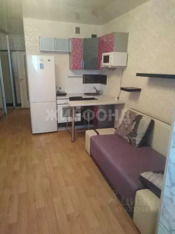 Студия Новосибирская область, Новосибирск ул. Виктора Уса, 15 (25.0 м) - Фото 1