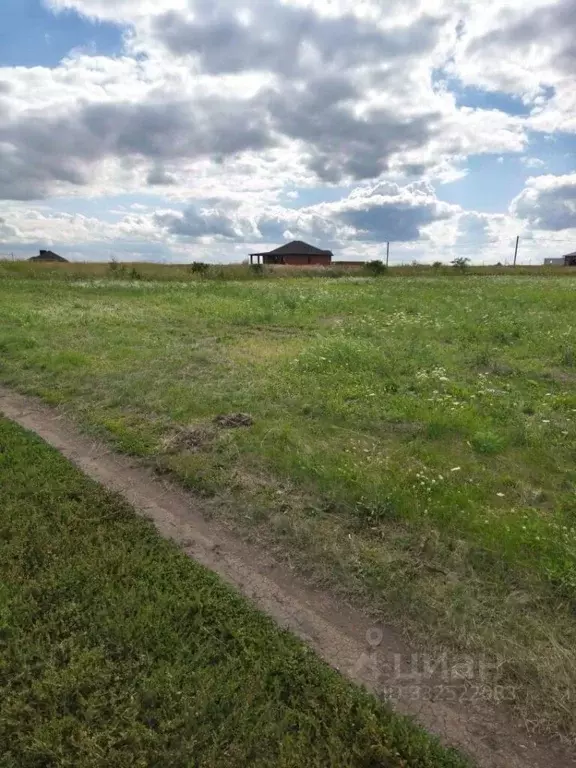 Участок в Белгородская область, Яковлевский муниципальный округ, с. ... - Фото 2