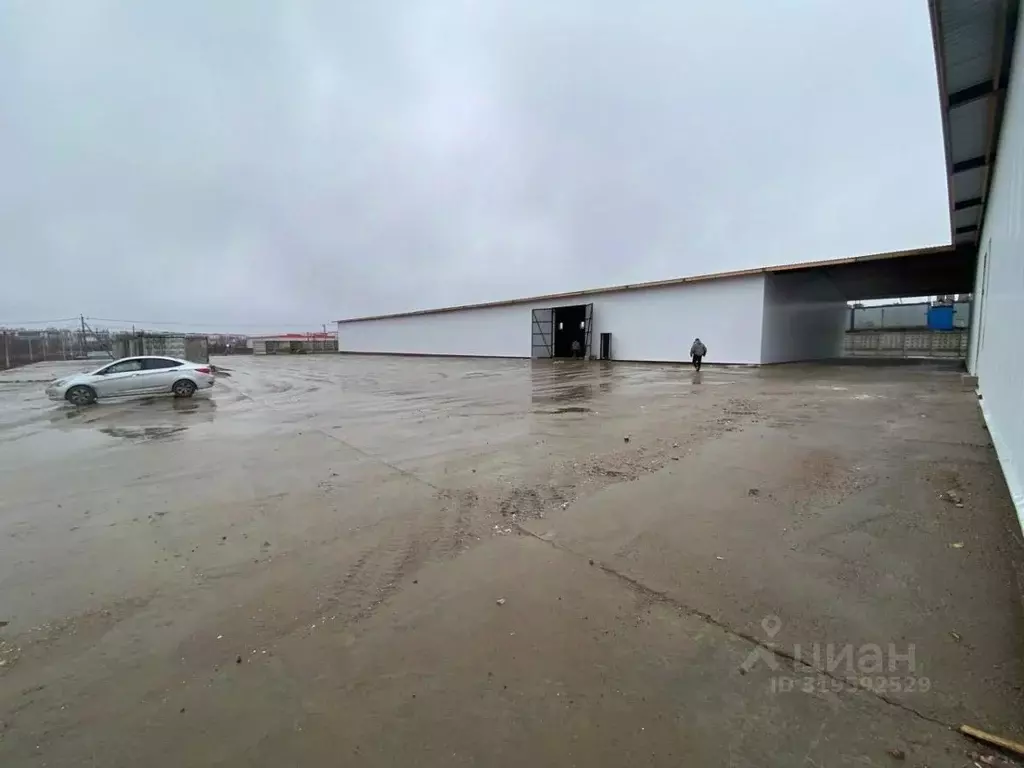 Склад в Ленинградская область, Всеволожский район, Заневское городское ... - Фото 0