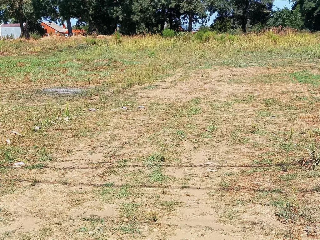 Участок в Краснодарский край, Темрюк ул. Ильи Павленко (5.0 сот.) - Фото 1