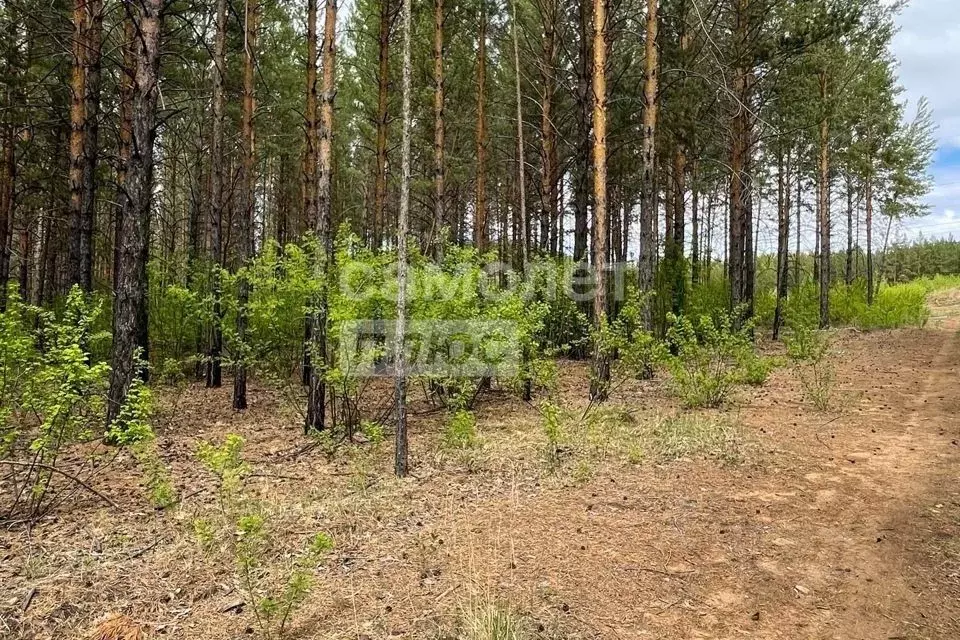 Участок в Забайкальский край, Читинский район, Атамановка пгт  (7.5 ... - Фото 0