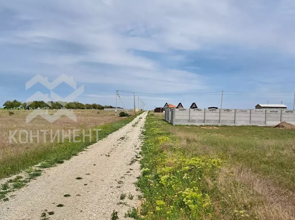 Участок в Крым, Черноморский район, с. Новосельское ш. Черноморское, ... - Фото 1