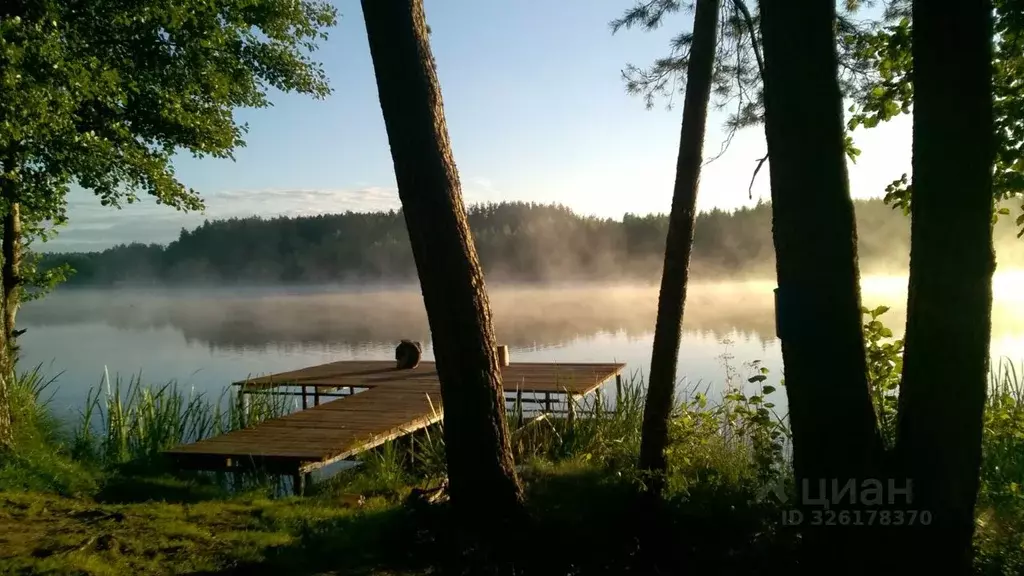 Участок в Московская область, Клин городской округ, Октава кп ул. ... - Фото 1