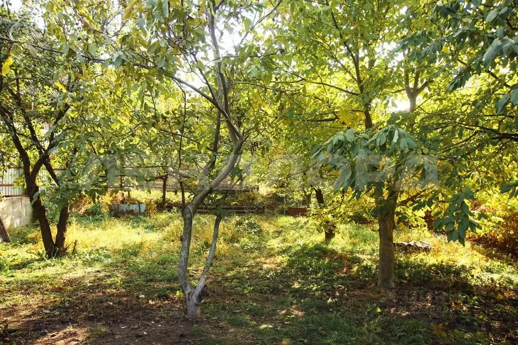 Участок в Ростовская область, Ростов-на-Дону 2-я Заводская ул. (7.8 ... - Фото 2