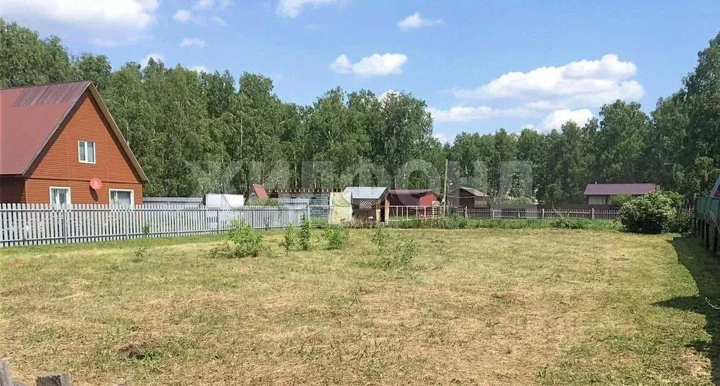 Участок в Новосибирская область, Ордынское рп, Южный кв-л  (7.21 сот.) - Фото 1