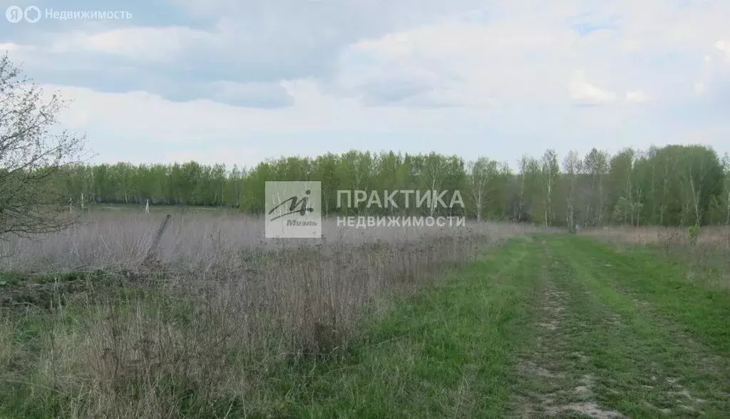 Участок в Тульская область, Венёвский муниципальный округ, посёлок ... - Фото 2
