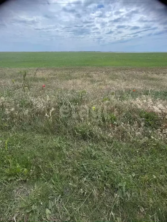 участок в крым, черноморский район, с. новоивановка ул. дорожная . - Фото 1