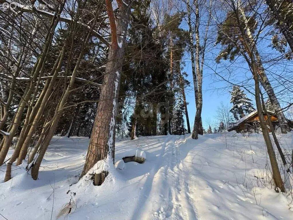 Участок в Костромской район, Чернопенское сельское поселение, деревня ... - Фото 2