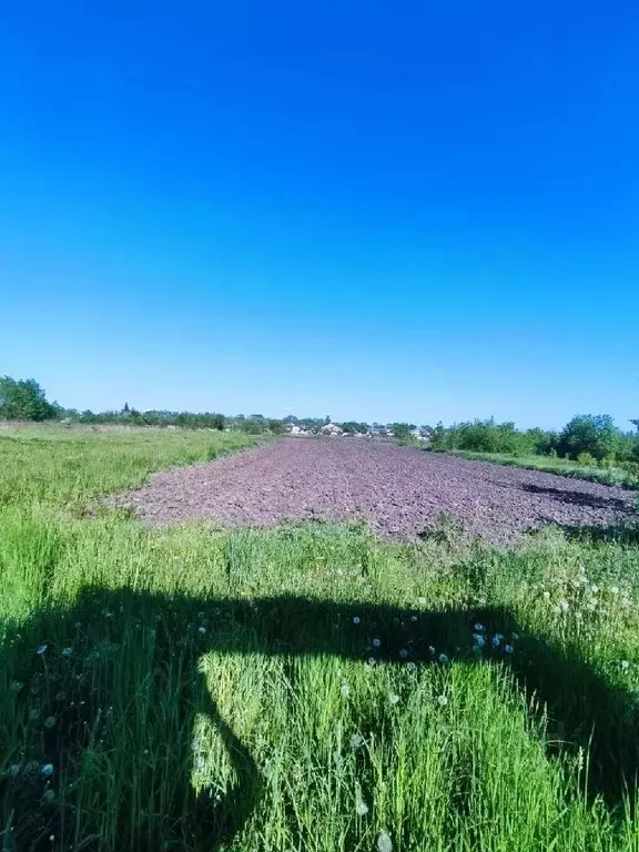 Дом в Белгородская область, Яковлевский городской округ, с. Гостищево  ... - Фото 1