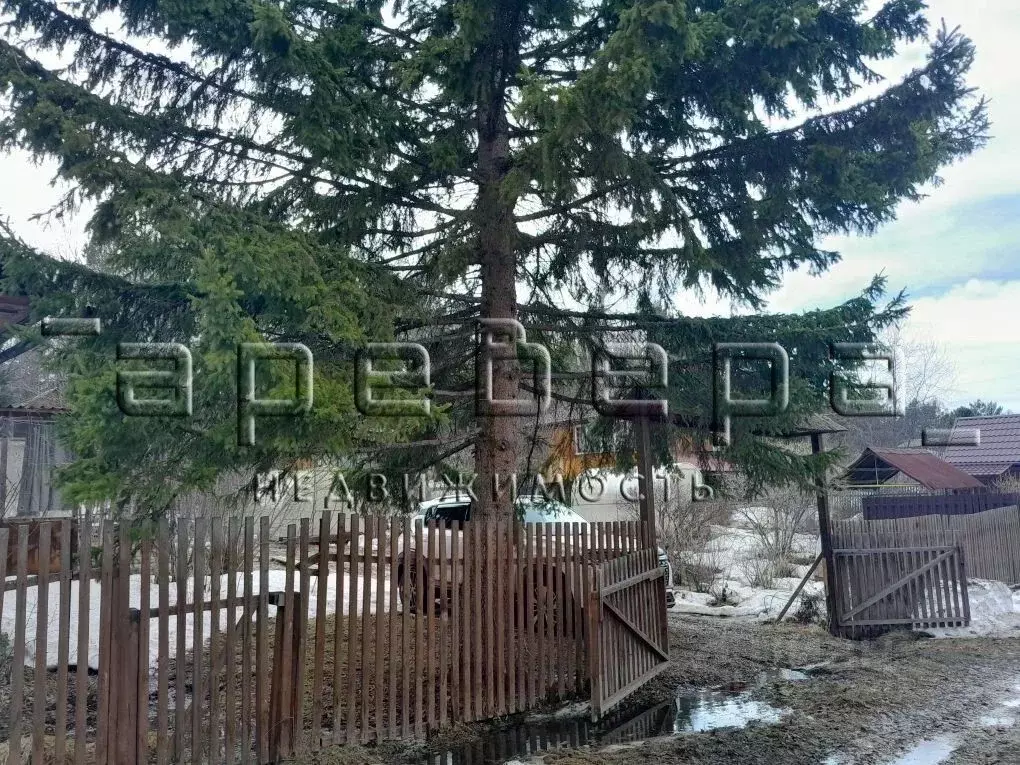 Дом в Красноярский край, Емельяновский муниципальный округ, Василек ... - Фото 2