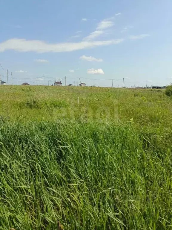 Участок в Липецкая область, Липецк Радужный кп, ул. Плодородная (10.8 ... - Фото 1