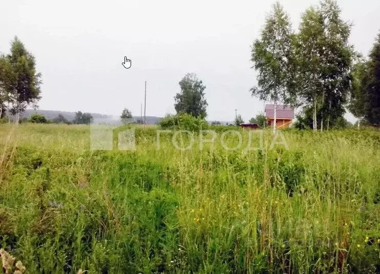Участок в Новосибирская область, Ордынский район, с. Новопичугово ... - Фото 1