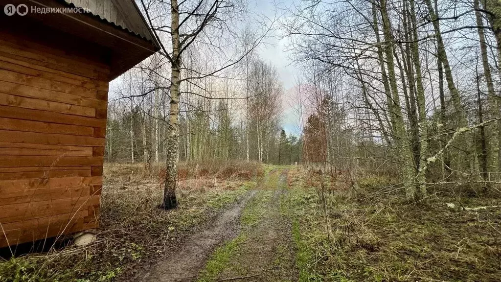 Участок в Осьминское сельское поселение, деревня Жог (10 м) - Фото 2