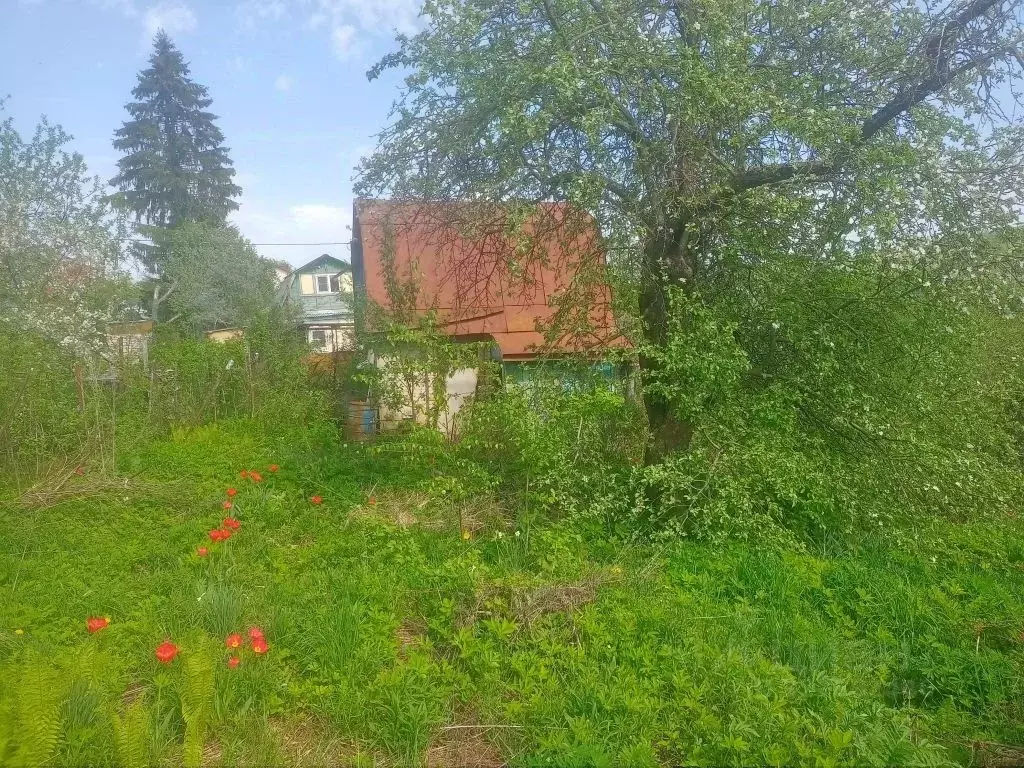 Дом в Нижегородская область, Нижний Новгород Дружба СНТ,  (32 м) - Фото 2