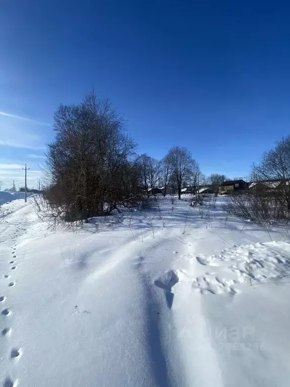 Участок в Смоленская область, Смоленск пос. Серебрянка, 112Д (15.8 ... - Фото 2