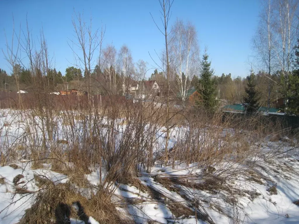 Участок в Московская область, Одинцовский городской округ, д. Аляухово ... - Фото 0