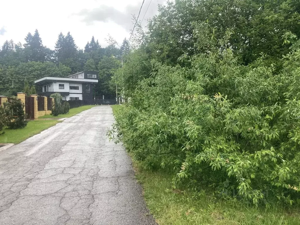 Участок в Московская область, Пушкинский городской округ, д. Мураново ... - Фото 2