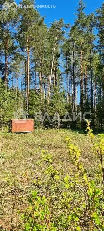 Участок в Куйвозовское сельское поселение, садоводческое ... - Фото 2