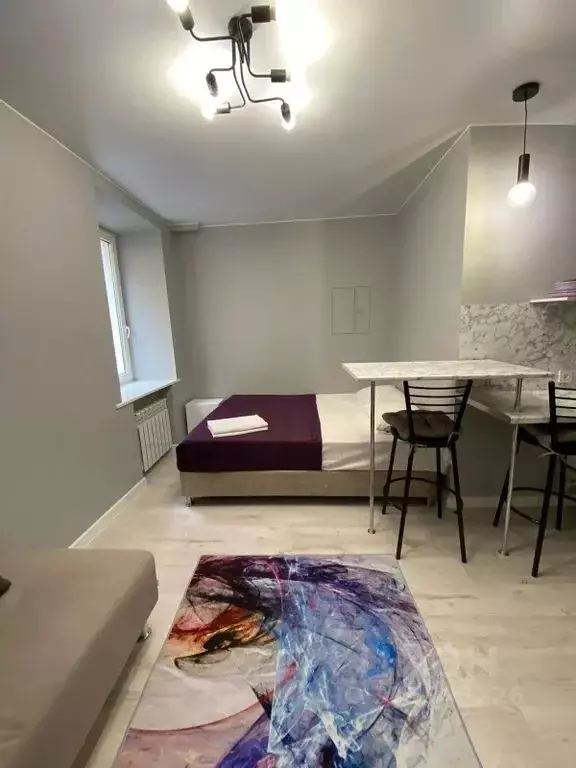 Студия Санкт-Петербург Пушкинская ул., 15 (20.0 м) - Фото 0