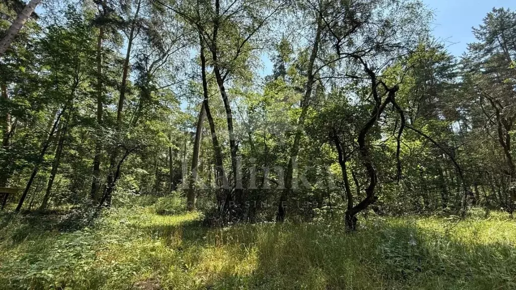 Участок в Москва 2-я Хорошевского Серебряного Бора линия (96.0 сот.) - Фото 2