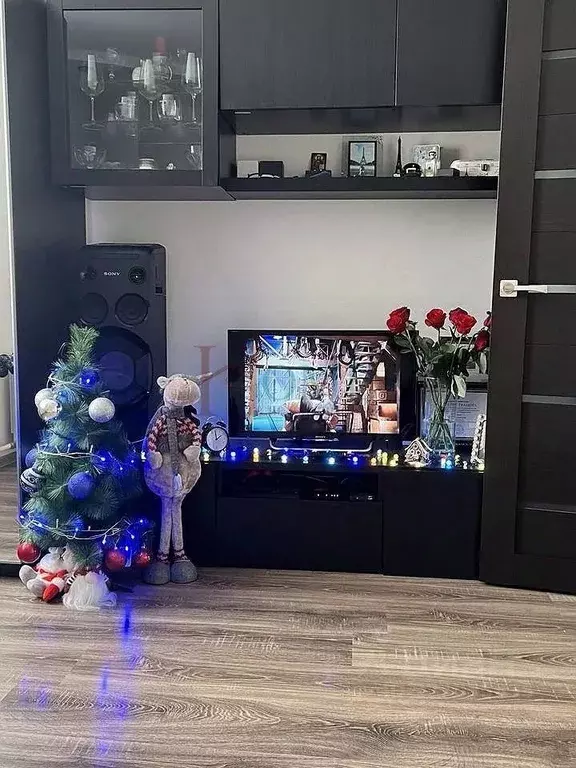 1-к кв. Новосибирская область, Новосибирск ул. Красина, 68 (30.0 м) - Фото 2