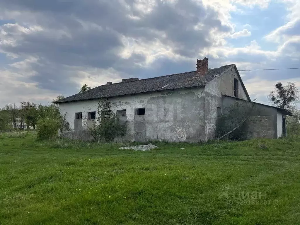 Помещение свободного назначения в Калининградская область, Полесский ... - Фото 1