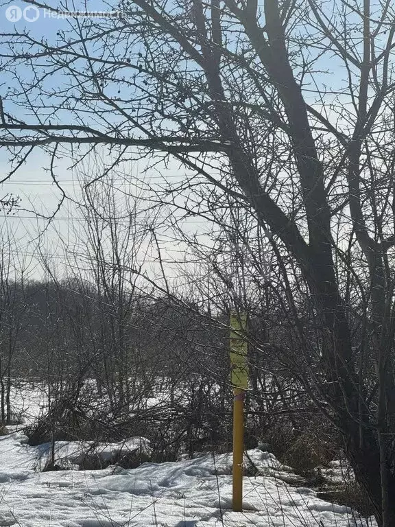 Участок в Калининградская область, Гурьевский муниципальный округ, ... - Фото 2