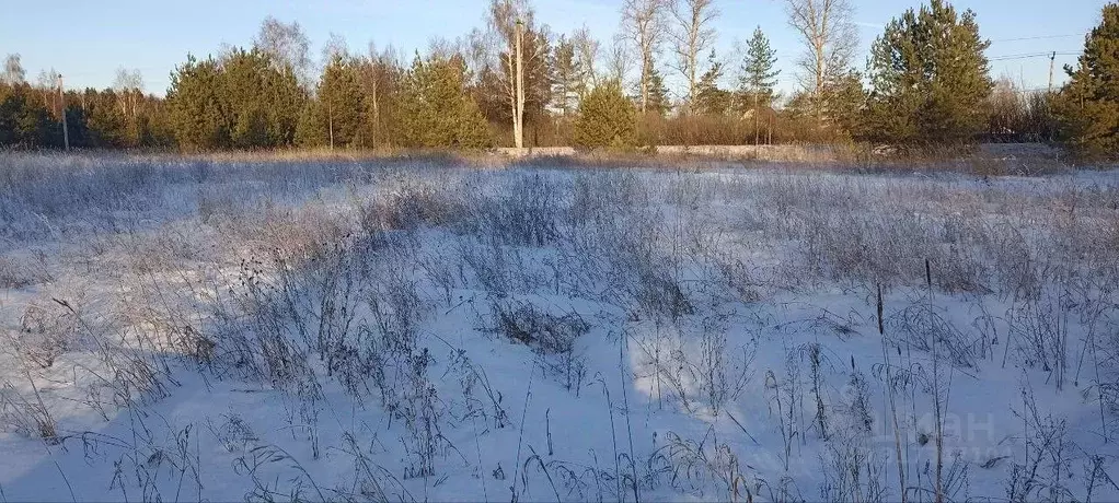 Участок в Московская область, Павлово-Посадский городской округ, д. ... - Фото 0