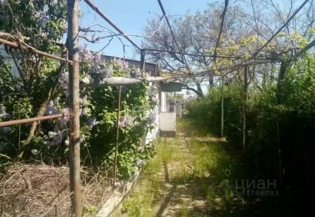 Крым Раздольненский Район Село Серебрянка Купить Дом