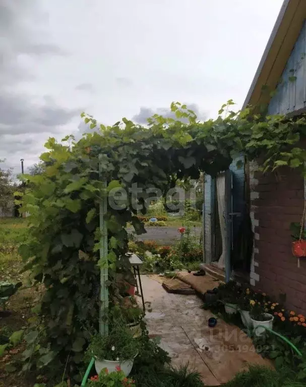 Дом в Брянская область, Брянский район, Добрунское с/пос, д. Добрунь, ... - Фото 1