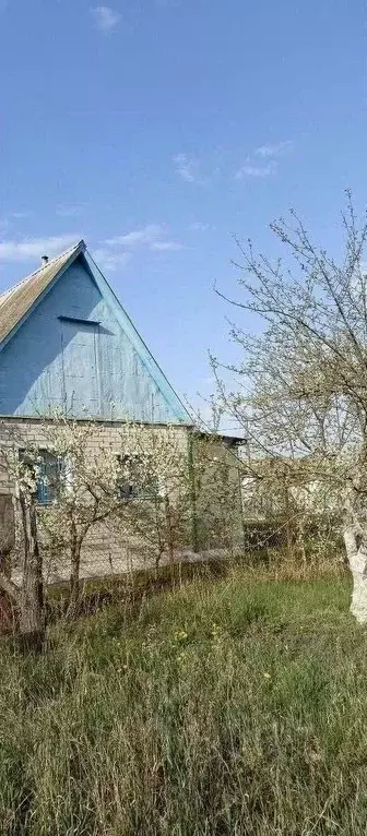 Дом в Воронежская область, Воронеж Березка СНТ, 7-я линия, 302 (313 м) - Фото 0