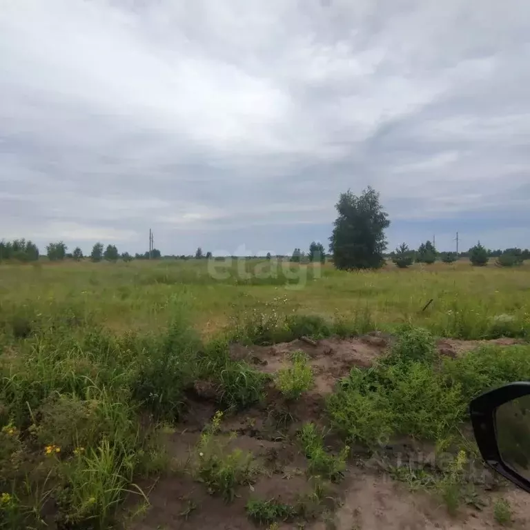 Участок в Ульяновская область, Ульяновск ул. Лебединая (8.0 сот.) - Фото 0