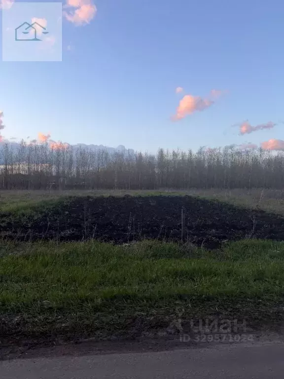 Участок в Воронежская область, Новоусманский район, Усманское 1-е ... - Фото 1