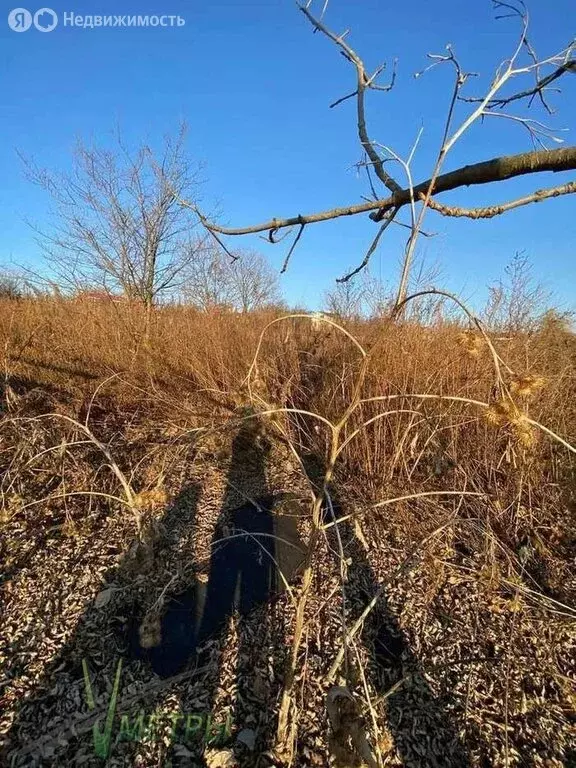 Участок в Трудовое, Южная улица (9.5 м) - Фото 1