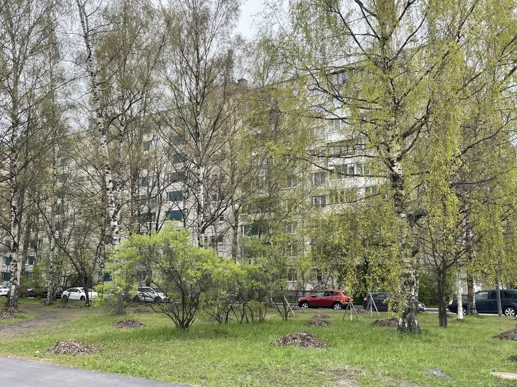 3-к кв. Санкт-Петербург просп. Испытателей, 20 (73.8 м) - Фото 1