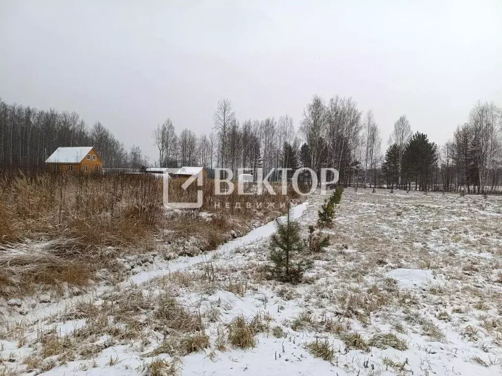 Участок в Ярославская область, Некрасовский муниципальный округ, Малые ... - Фото 2