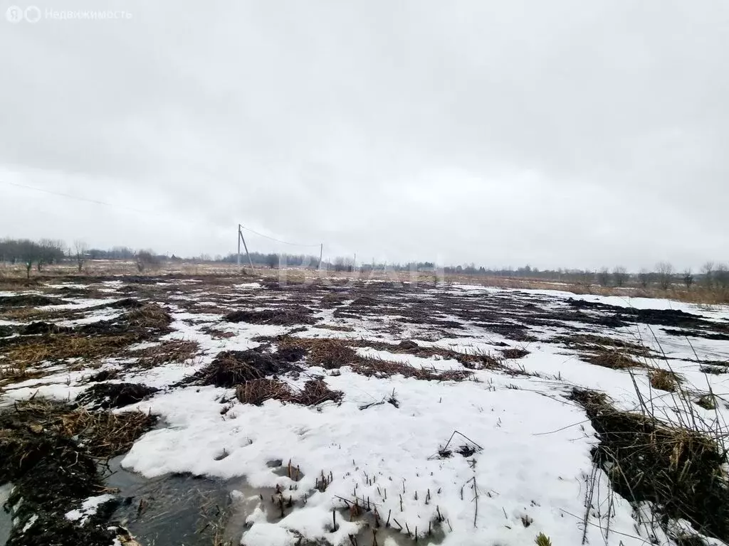 Участок в Вологодский муниципальный округ, посёлок Грибково (10 м) - Фото 1