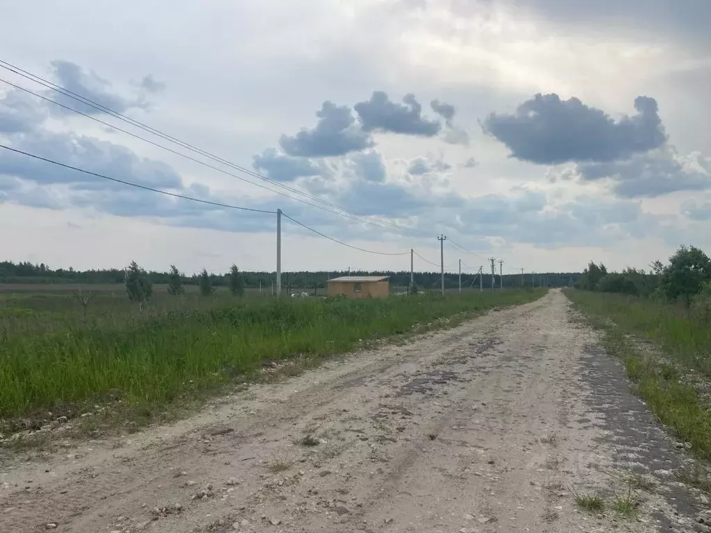 Участок в Московская область, Шатура муниципальный округ, д. Курьяниха ... - Фото 0