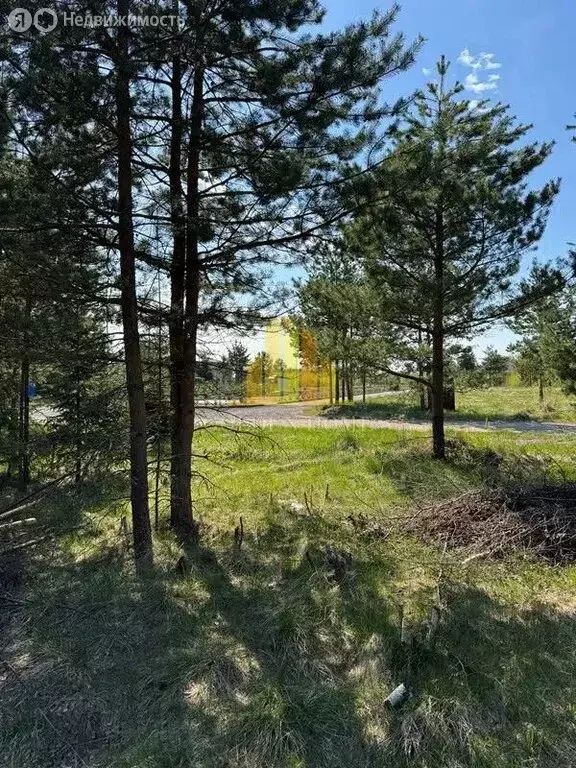 Участок в Выборгский район, Полянское сельское поселение, КП Уют у ... - Фото 1