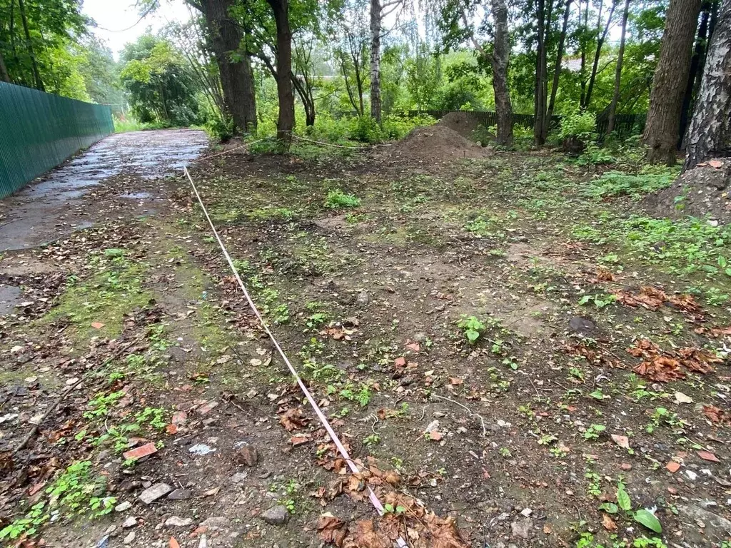 Участок в Ленинградская область, Всеволожский район, Токсовское ... - Фото 1
