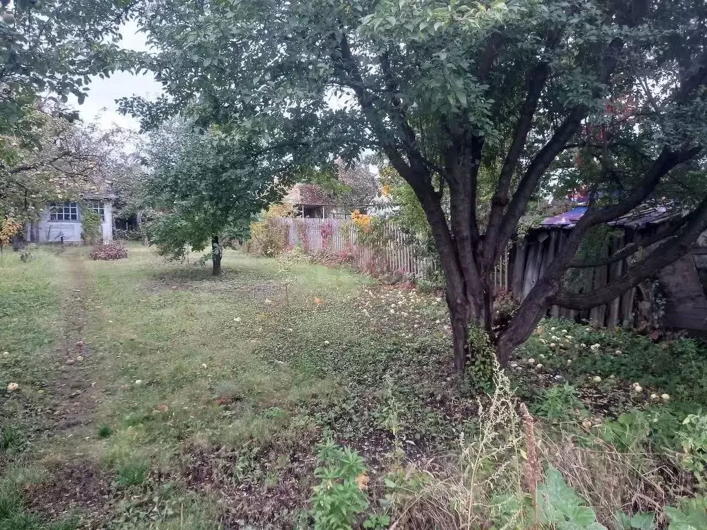 Участок в Воронежская область, Воронеж Строитель МВО СНТ, ул. Тихая ... - Фото 1