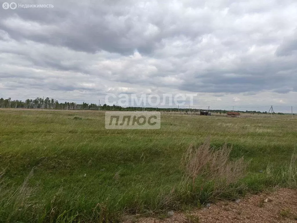 Участок в Сосновский округ, деревня Шимаковка (15 м) - Фото 1