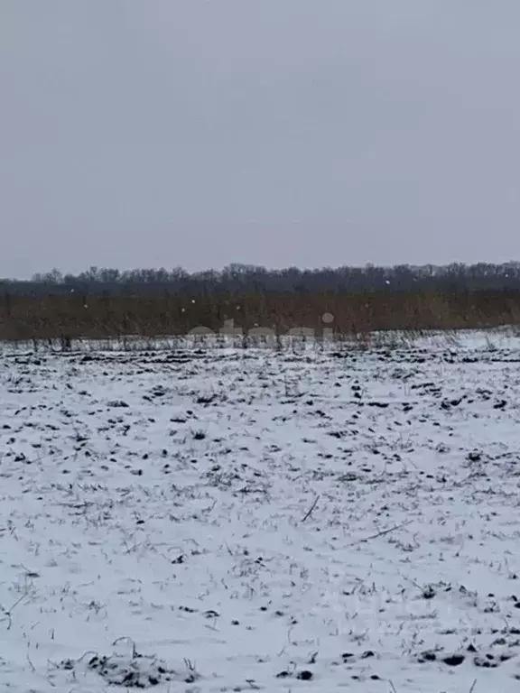 Участок в Белгородская область, Белгородский район, Головинское с/пос, ... - Фото 1