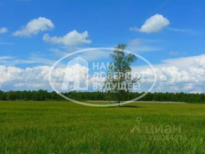 Участок в Пермский край, Лысьва Окружная ул., 47 (6.0 сот.) - Фото 0