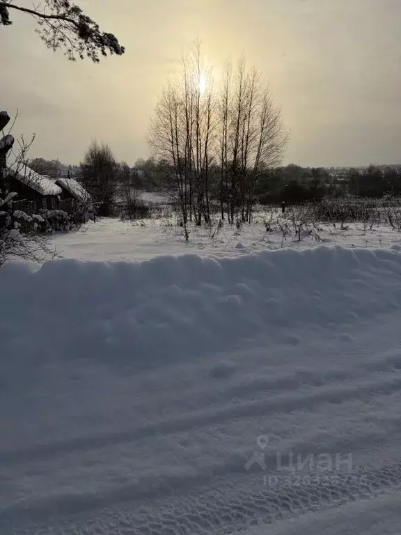 Участок в Московская область, Лотошино муниципальный округ, д. Пешки  ... - Фото 0